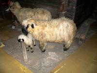 Zermatt, Matterhornmuseum