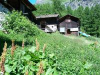 Umgebung von Zermatt