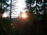 Abendstimmung am Säntis