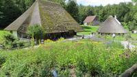 302  Freilichtmuseum Ballenberg - im Heilkräutergarten