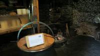 344  Freilichtmuseum Ballenberg - Käserei