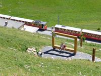 auf der Schynigen Platte