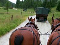 Pferdekutschfahrt ins Val Roseg