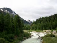 Fahrt mit dem Bernina- Express