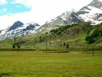 Fahrt mit dem Bernina- Express