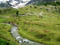 Fahrt mit dem Bernina- Express