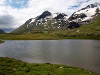 Fahrt mit dem Bernina- Express