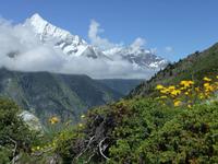Unterwegs auf dem Blumenweg
