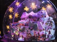 In der Alpinen Sensation