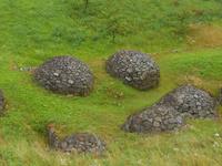 Fahrtimpressionen mit dem Bernina-Express (Steiniglus)