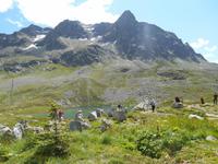 Engadin-Rundfahrt (Julier-Passhöhe)