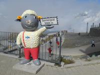 auf dem Gornergrat...