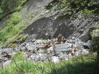 Der Rückweg zur Oeschinenbahn