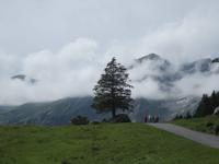 Der Rückweg zur Oeschinenbahn