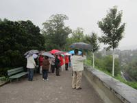 Stadführung in Bern, Rosengarten