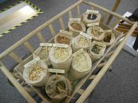 Besichtigung der Appenzeller-Schnapsfabrik