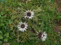 Wanderung auf der Schwägalp