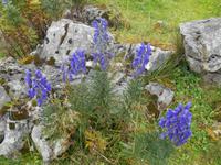 Wanderung auf der Schwägalp