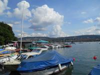 Blick auf den Zürichsee