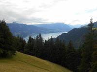 Blick auf den Thuner See