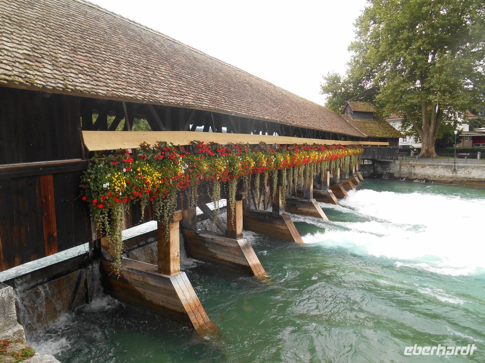 Stadtführung in Thun (Obere Schleuse)