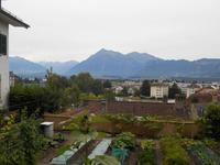 Stadtführung in Thun