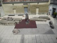 Da lebten die Bären früher