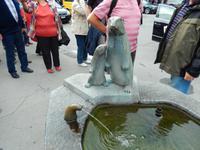 Murmeltiere warten mit uns auf den Bus in Interlaken