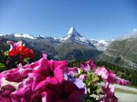 Blick zum Matterhorn