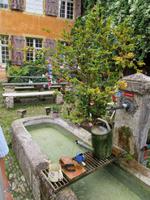 Romainmortier. Brunnen vor Priorhaus