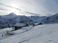 177 Ausflug auf den First -