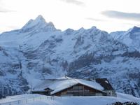179 Ausflug auf den First -  Blick zum Schreckhorn
