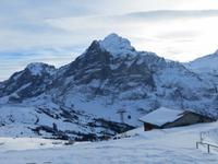 181 Ausflug auf den First - Blick zum Wetterhorn