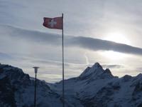 183 Ausflug auf den First - Blick zum Schreckhorn 4.078 Meter