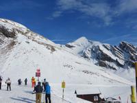 185 Ausflug auf den First -