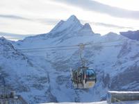 188 Ausflug auf den First - Blick zum Wetterhorn
