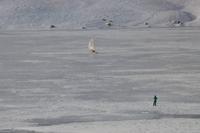 Bernina Express Strecke