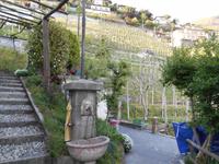 Abendessen im Grotto 