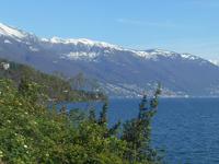Lago Maggiore-Rundfahrt