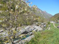 Verzascatal (Ponte dei Salti - Römerbrücke)