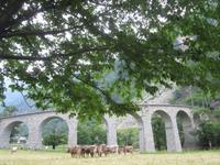 Mit den Bus geht es zurück nach Davos