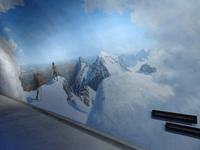 098 Ausflug zum Jungfraujoch -Alpine Sensation