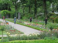 186 Ausflug nach Bern - Rosengarten