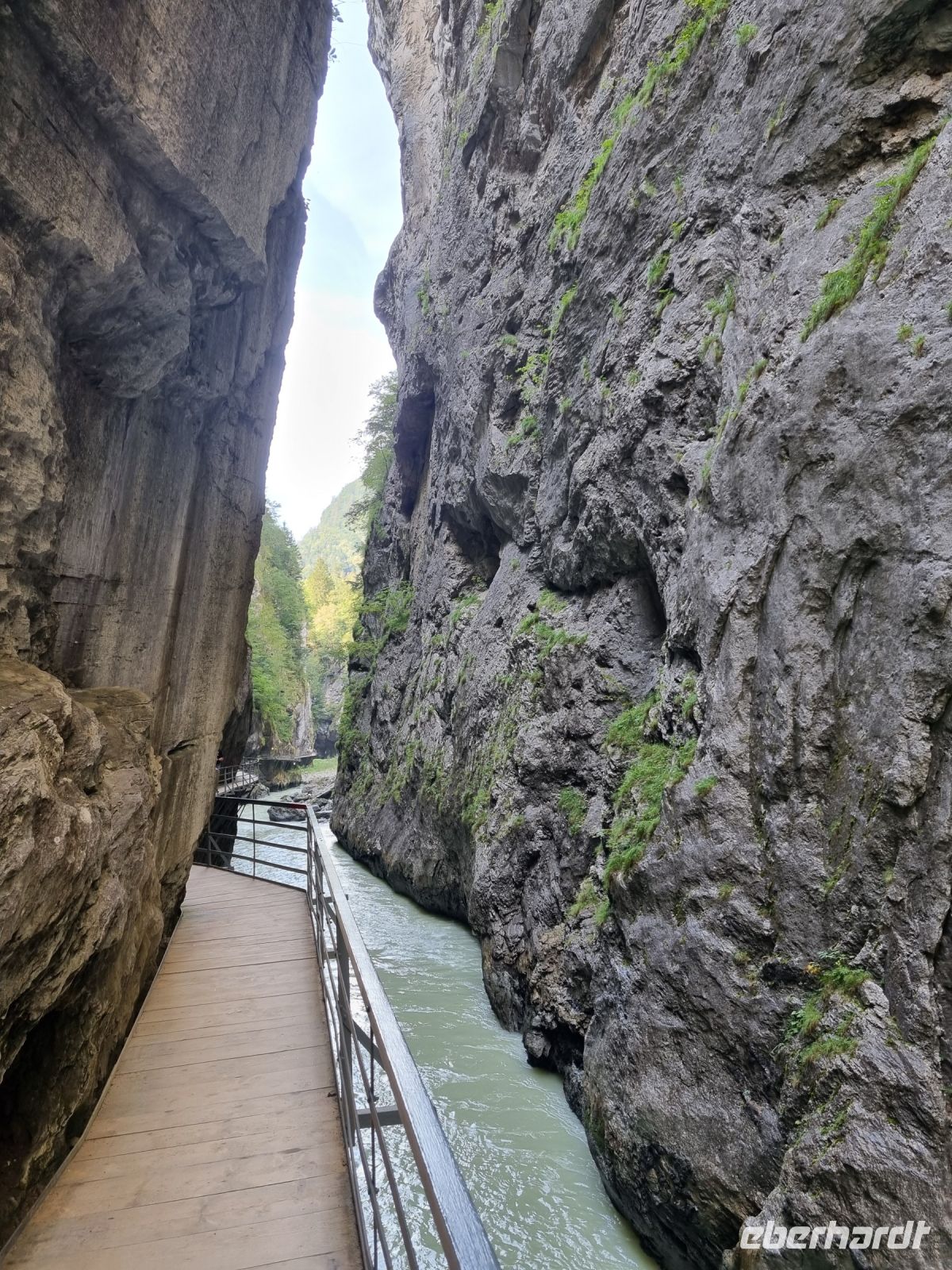 Aareschlucht