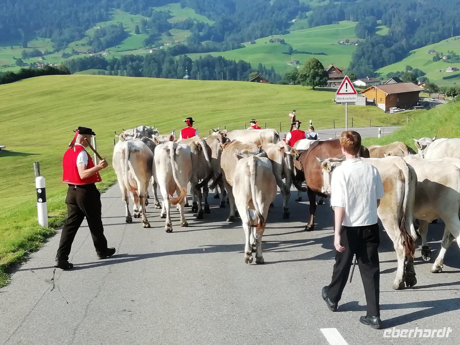 Almabtrieb