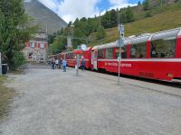 Alp Grüm