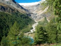 Alp Grüm