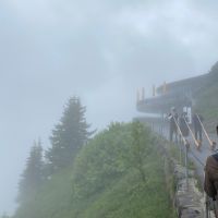 Alphornklänge in der Stille