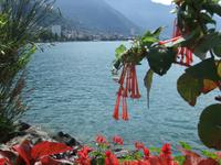 Am Genfer See