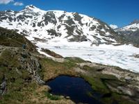 Am Grimselpass